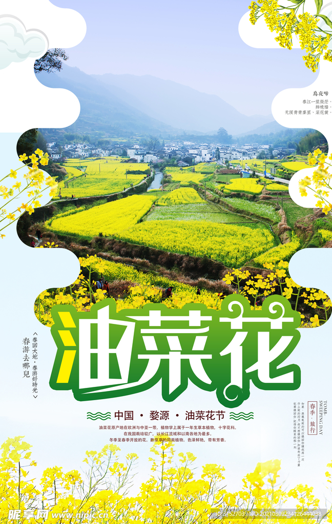 小清新春季旅游婺源油菜花节海报