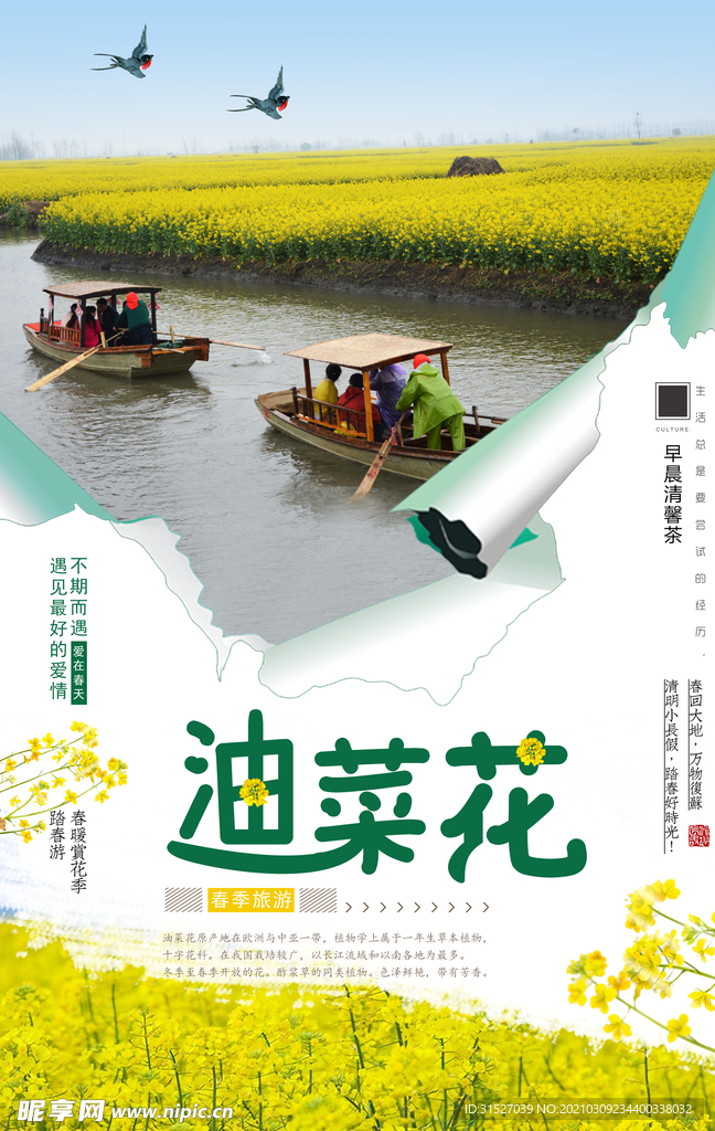 小清新醉美油菜花旅行社春季海报