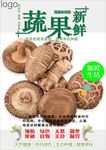 香菇海报