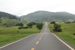 道路