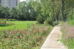 公园园林景观之植物群落