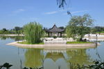 北京某公园湖中小岛景观