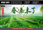 春茶图片