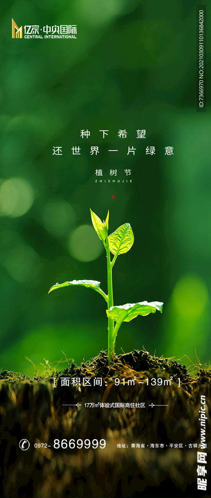 植树节