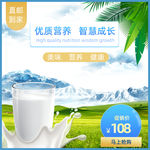 食品母婴用品奶粉进口PC主图