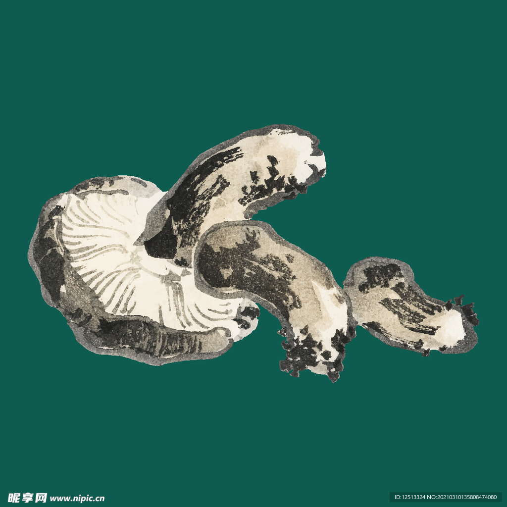 香菇