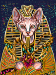 猫咪插画