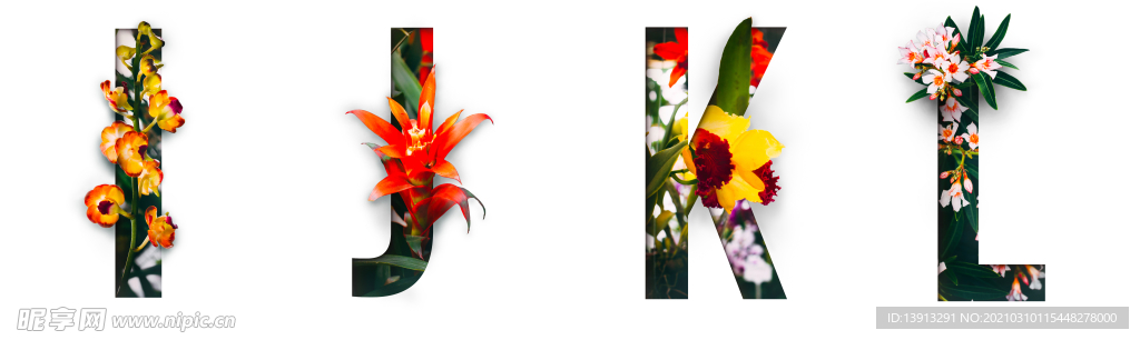 字母花