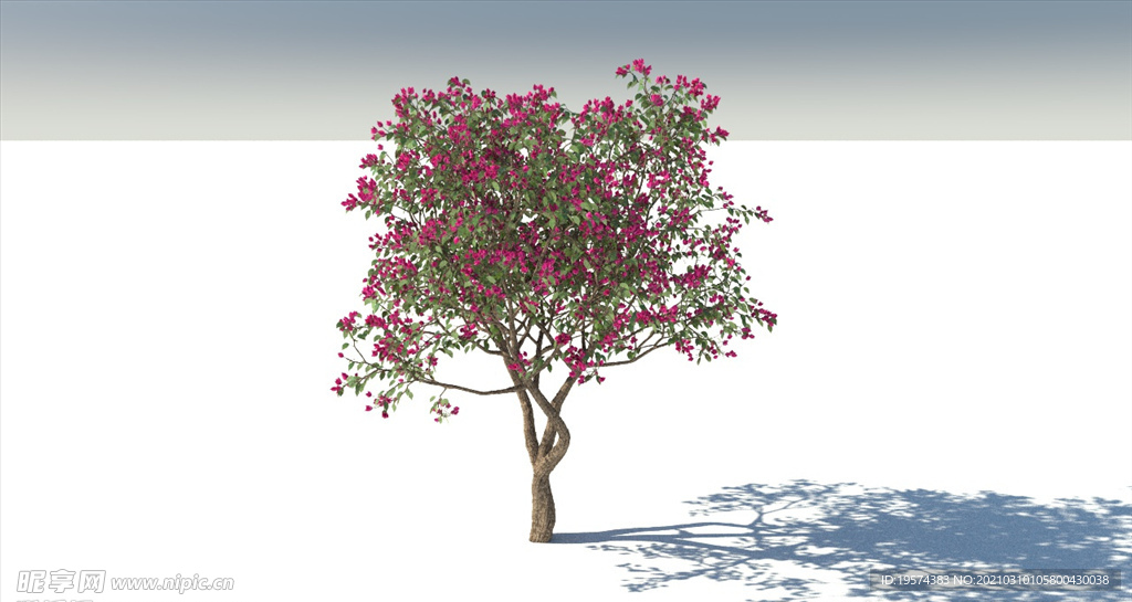 C4D模型树木果树红花荷