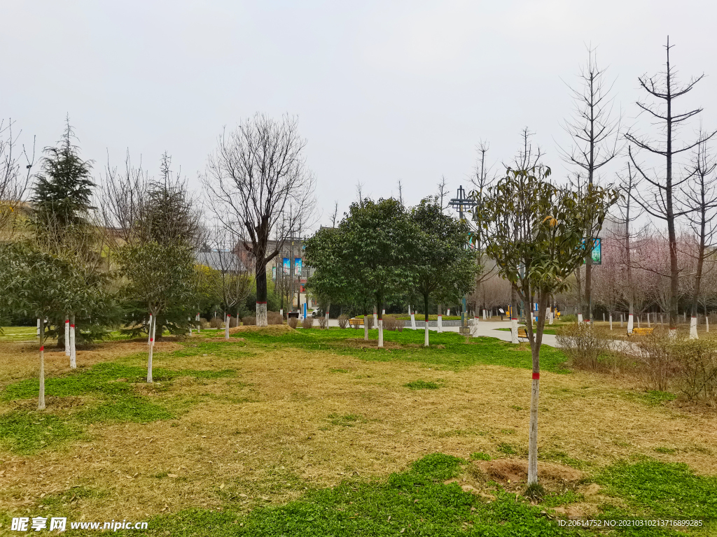 美丽的公园风景