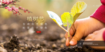 植树节