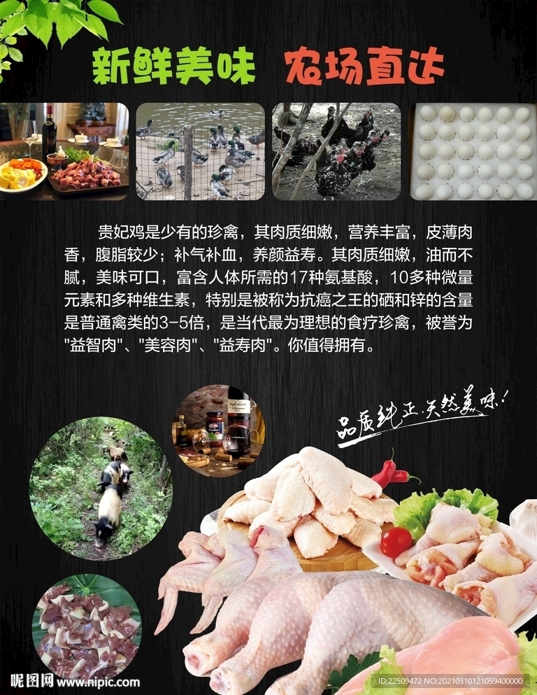 肌肉海报