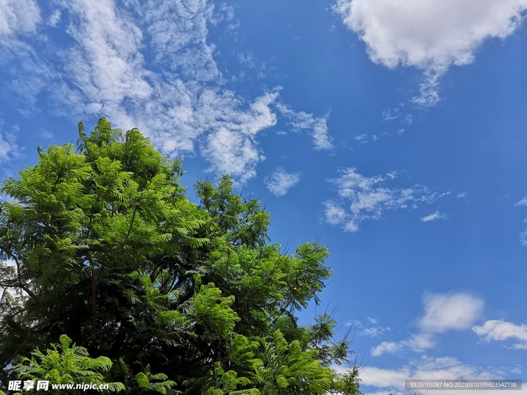 晴空