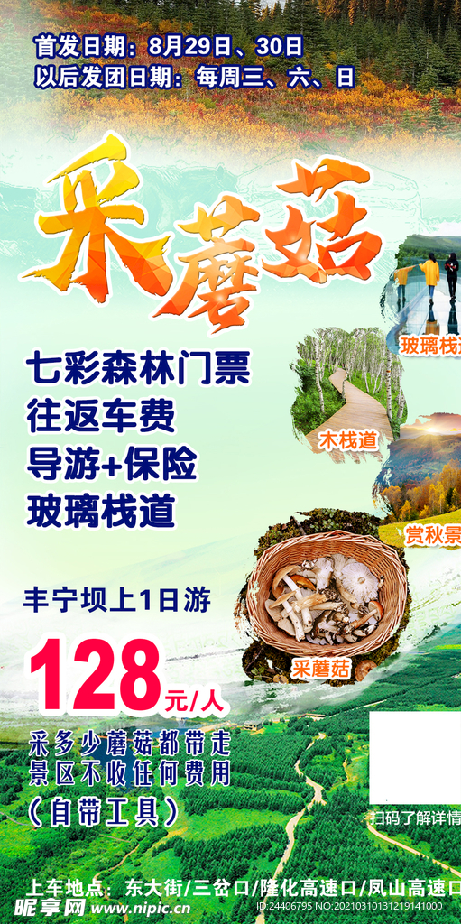 蘑菇海报