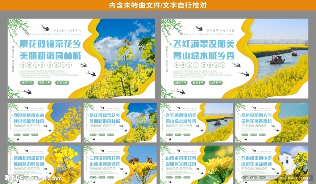 油菜花