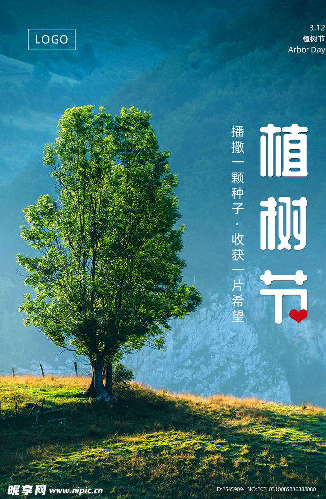 植树节