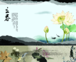 立春 荷花