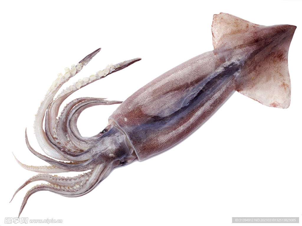 海鲜