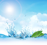 水珠背景