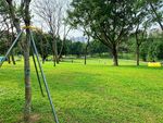 深圳莲花山公园