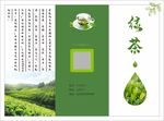 绿茶宣传折页