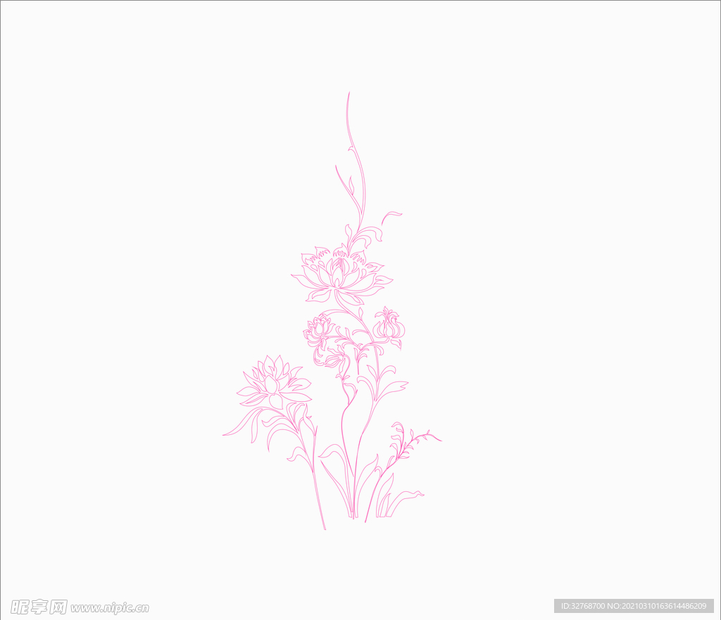 植物线稿