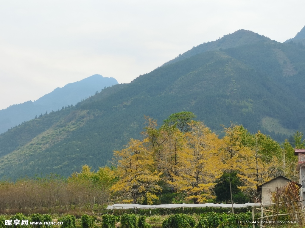 桂林 银杏广场