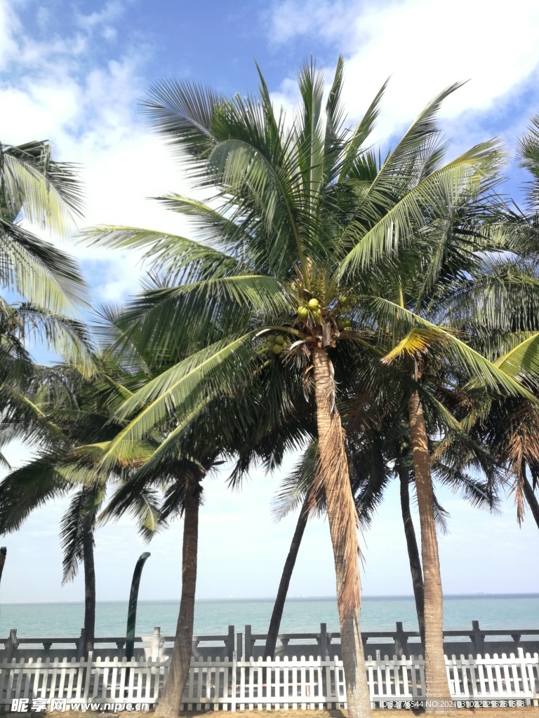 假日海滩旅游区