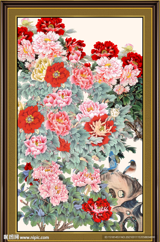 牡丹花开