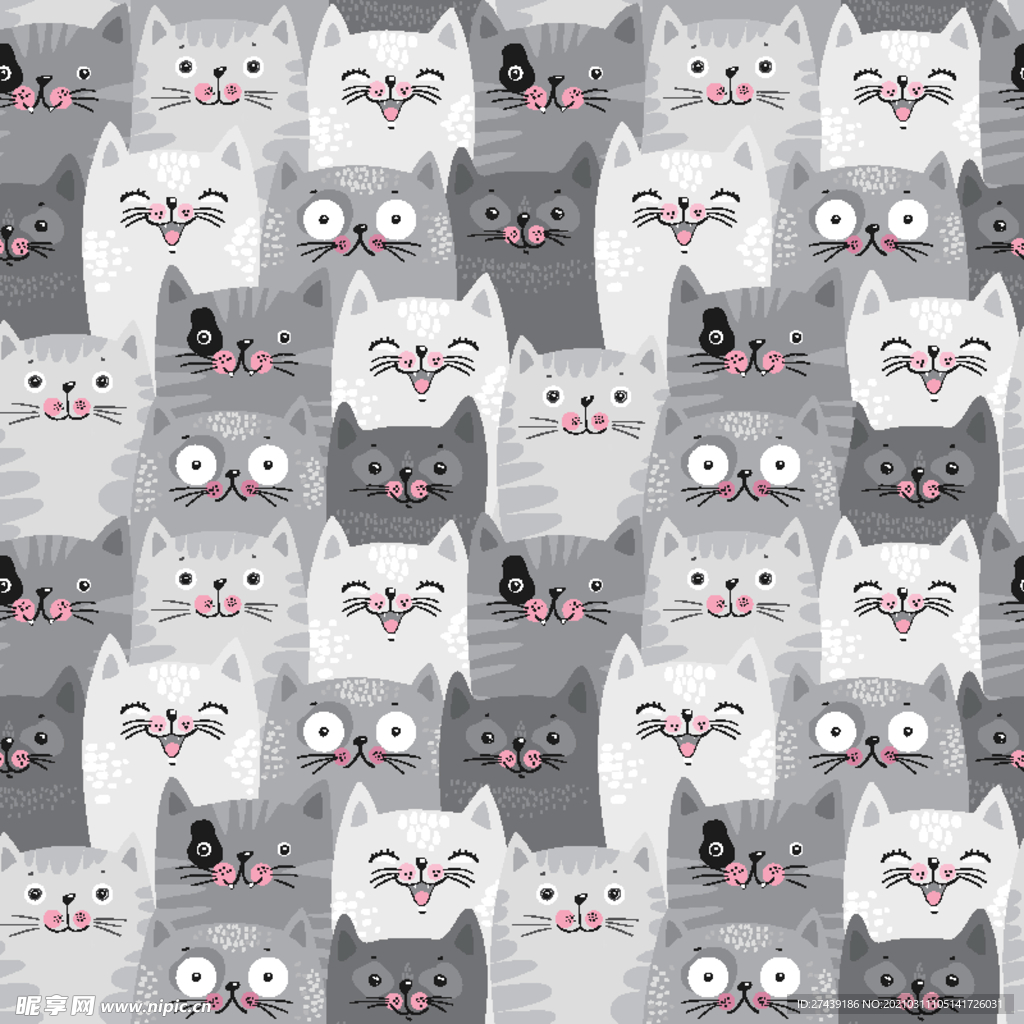 猫