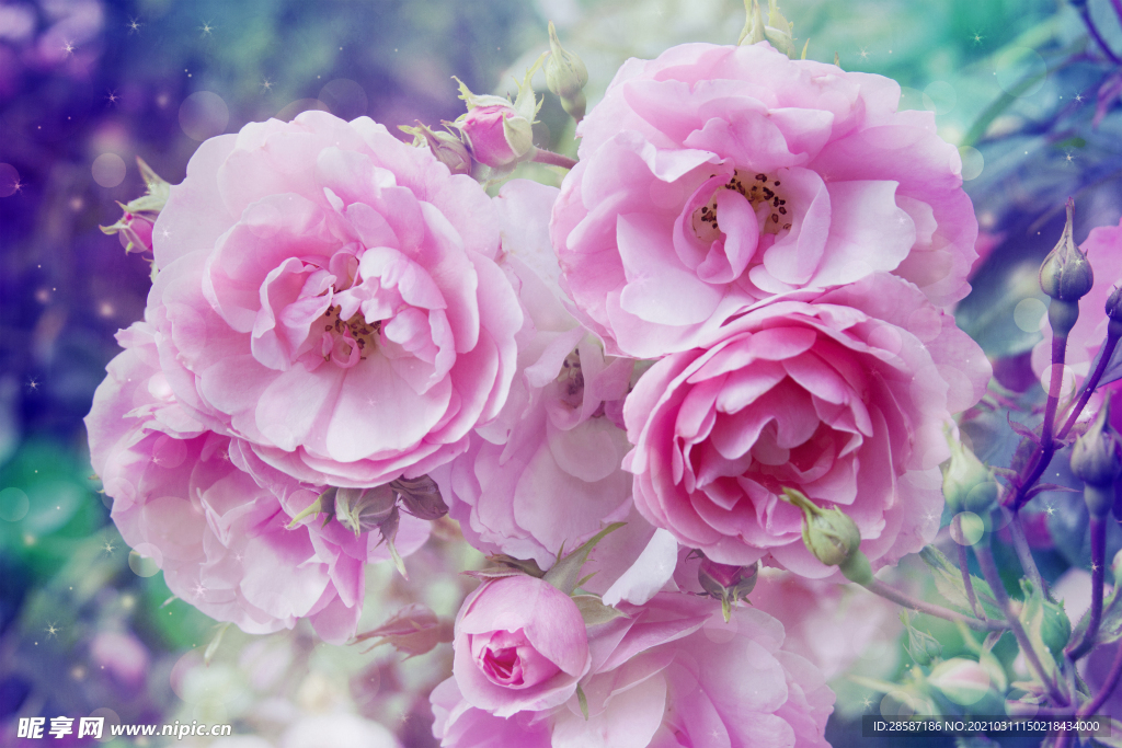 花