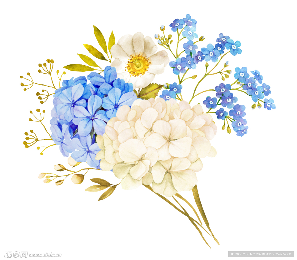 绣球花