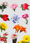 鲜花