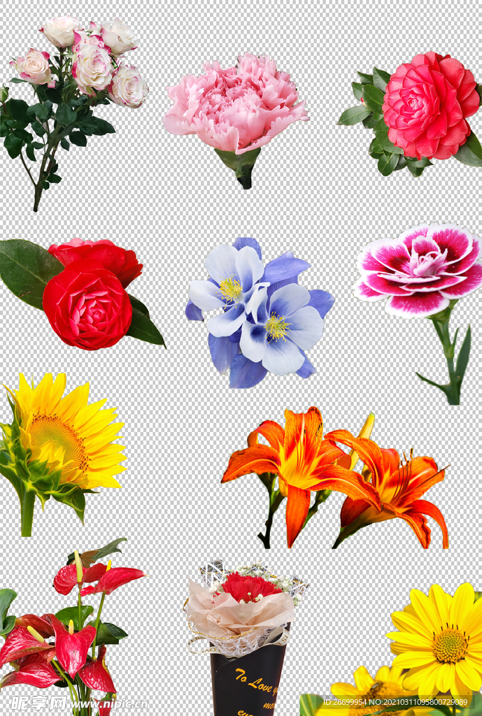 鲜花