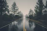 森林公路