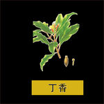 草本植物药材图片
