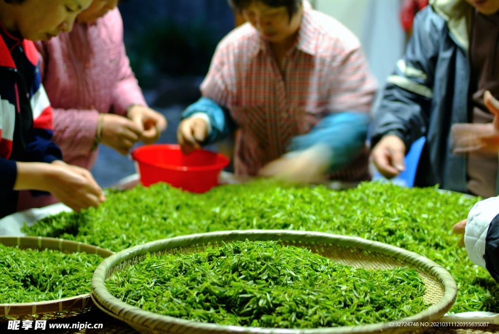 茶叶