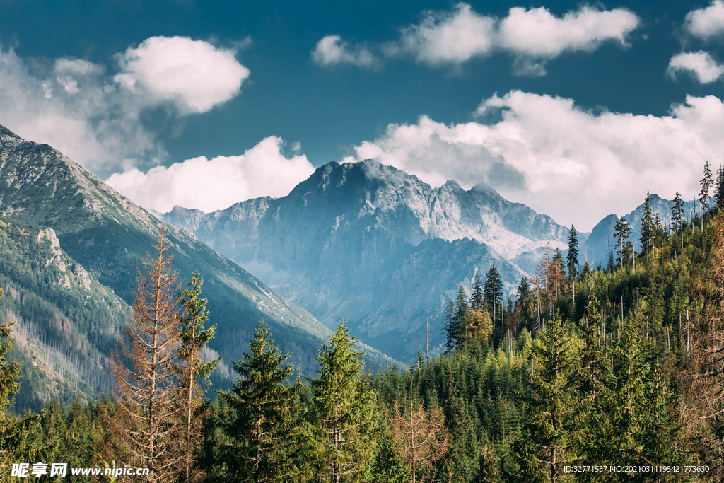 山里的风景