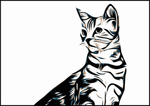 矢量猫