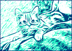 矢量猫剪影