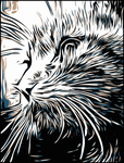 猫剪影