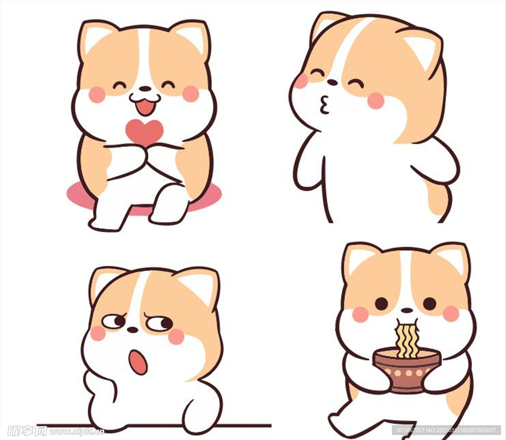 柯基可可