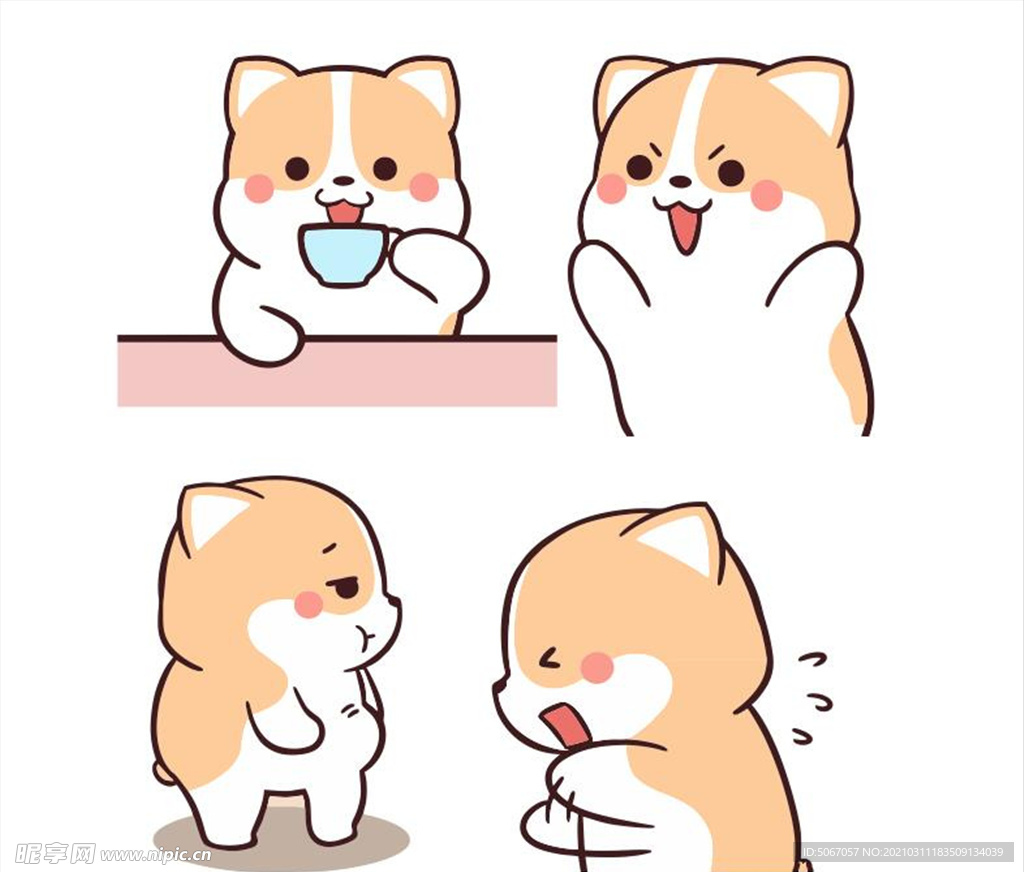 柯基可可