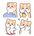 柯基可可