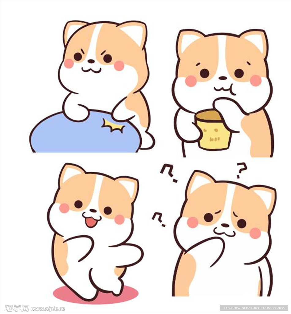 柯基可可