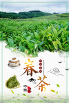 春茶