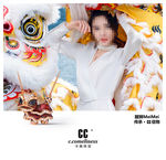 cc卡美