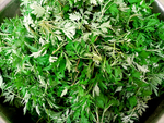 艾草