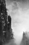 山