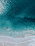 海
